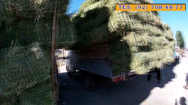 Нархи ХУРОКАИ мол имруз дар бозорхо смотреть онлайн