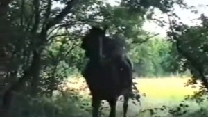 Сектор Газа еду бабу выручать сказка о ивсне