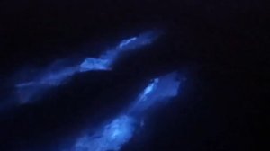 Биолюминесценция...