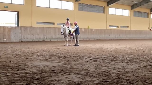 ВЕРХОВАЯ ЕЗДА НА ЛОШАДИ / ОБУЧЕНИЕ ВЕРХОВОЙ ЕЗДЕ ДЛЯ ДЕТЕЙ (2021) смотреть онлайн