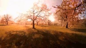 Руна Дагаз / Цикл III. Выпуск 9 / Руны и мы