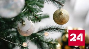 5 способов утилизации елки после праздников - Россия 24