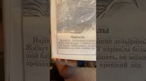 Ребёнок читает текст после 5 месяцев послоговому обучению чтению.