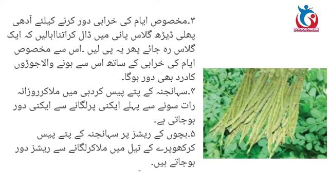 Benefits of moringa/سہانجنہ کے زبردست فوائد смотреть онлайн