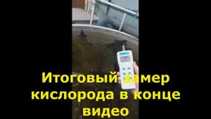 Увеличение кислорода в узв для осетра