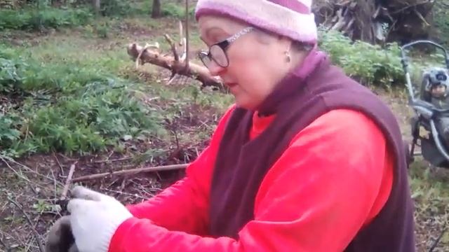 Как очистить садовый участок от старых веток. Работа своими руками на дому. смотреть онлайн