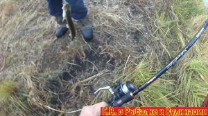 Удачно половили щуку с берега.Ловим щуку в Самаре с берега в затонах. За 3 часа 11 голов на двоих.