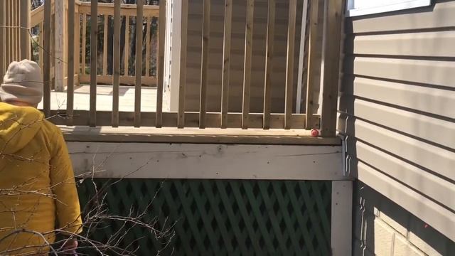 #32 Vlog .Отмечаем Пасху в Канаде.Детский день рождения.Садим Цветы ? смотреть онлайн