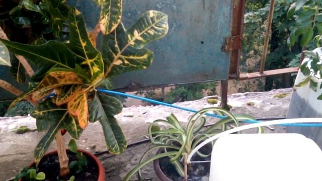 Автополив и автокормушка на ардуино смотреть онлайн