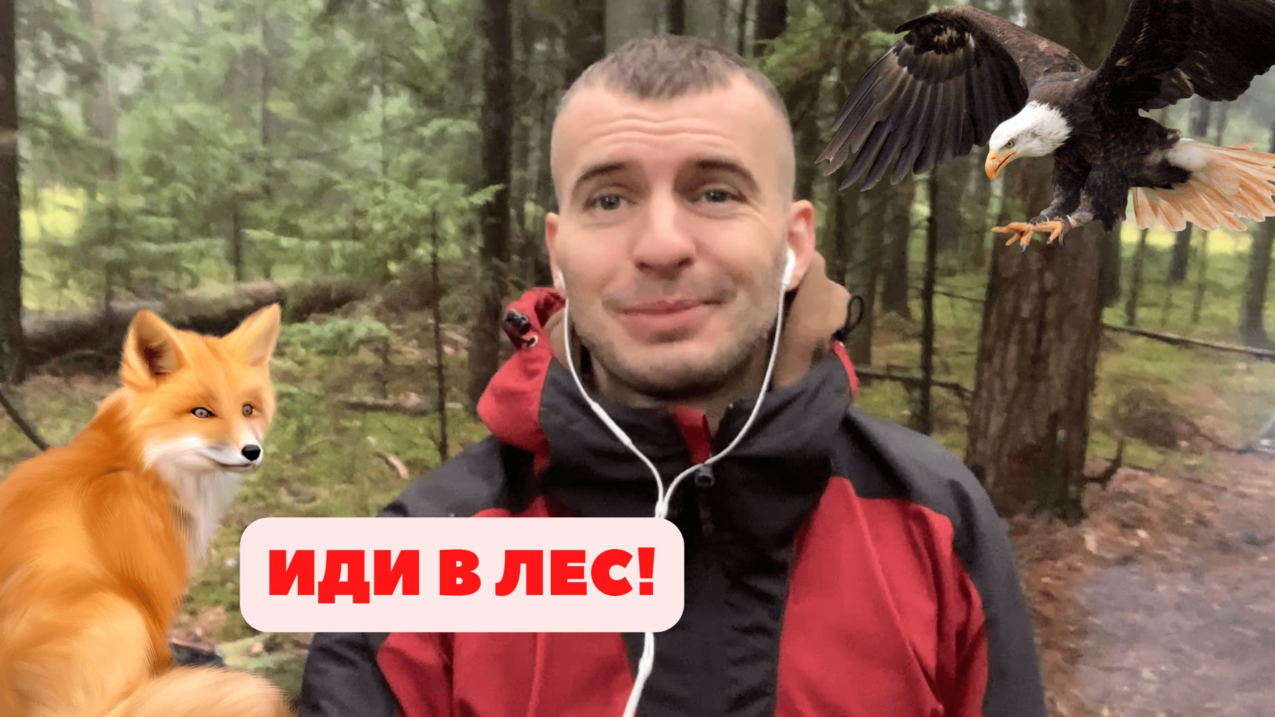 НУЖЕН ЦИФРОВОЙ ДЕТОКС? ИДИ В ЛЕС!???