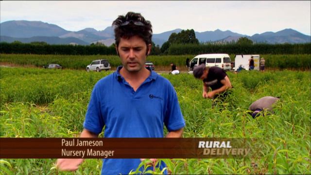 Waimea Nurseries смотреть онлайн