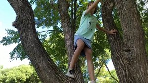 Как я лазаю по деревьям, или Поля-обезьяна