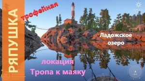 Русская рыбалка 4 - Ладожское озеро - Ряпушка трофейная на поплавок