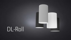 Светильник DL-Roll