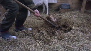 Глубокая подстилка - внесение и результат
