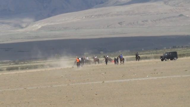 Открытие скакового сезона Республики Алтай с. Кош-Агач 04.06.2022 год. Мугражев Болатжан 2000 м смотреть онлайн