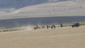 Открытие скакового сезона Республики Алтай с. Кош-Агач 04.06.2022 год. Мугражев Болатжан 2000 м