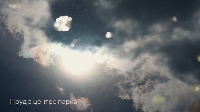 Видеосъёмка и аэросъёмка для ГК ФАКТ Коттеджные Посёлки в Санкт-Петербурге, Ленинградской области.