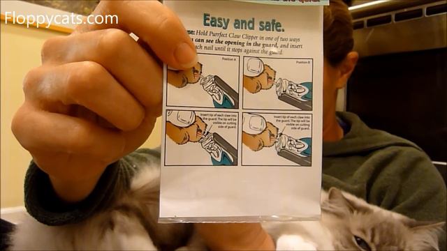 Ragdoll Cats Review Cat Nail Clippers Purrfect Claw Clipper смотреть онлайн