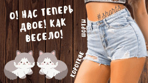 О! Нас теперь двое! Как весело!..) #shorts