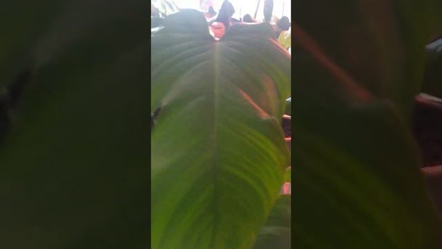 7 juni 2021 смотреть онлайн