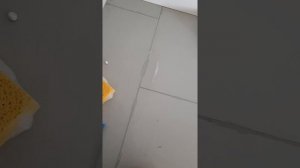 Grout color change and renew witj Mapei Fuga Fresca, trick to remove paint from ceramic tiles fast.