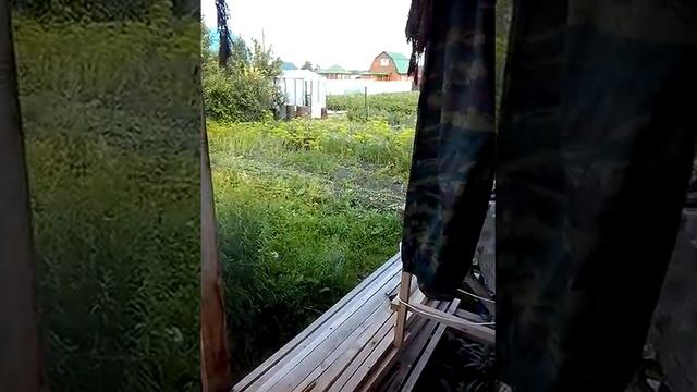 Дачный хозяин смотреть онлайн