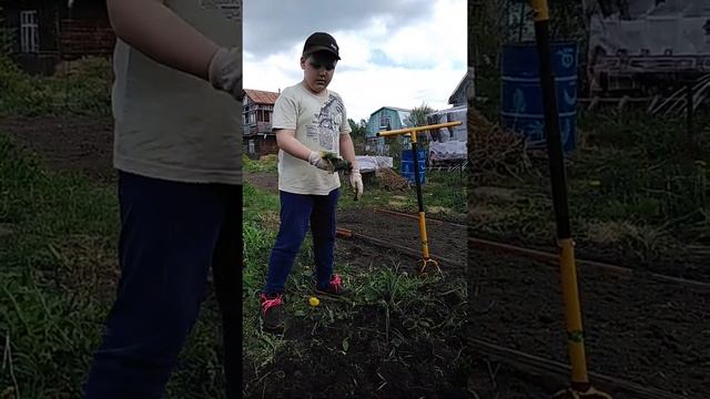 Перекопка необработанной земли Торнадо
