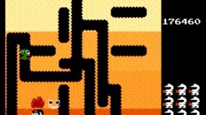 DIG DUG Arcade Game Level 100 1982 Namco