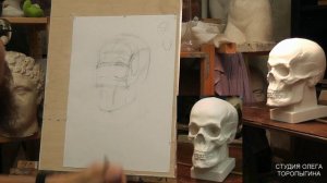 Еще один череп