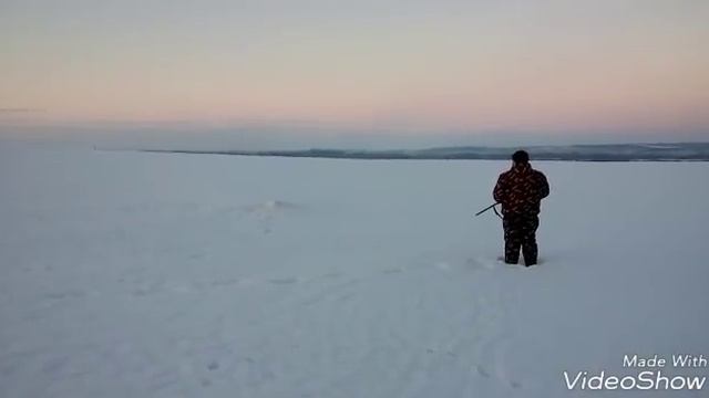 Охота с ягдтерьером двойной выход лисы
