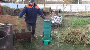 Виноград .Что делать с лозой винограда после обрезки?