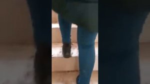 Сдали дом в аренду "замечательным" людям