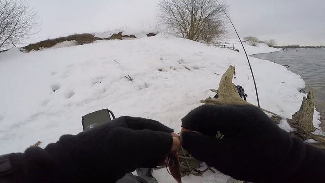 Отличный СУДАК. Спиннинг в феврале. Рыбалка на джиг, воблеры. Москва-Река. #NEKFiSh смотреть онлайн