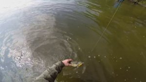 Spinning for lake pike. M&A Fishing  02/05/2015 . GoPro hero fishing