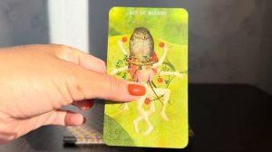 Обзор Таро Иеронима Босха, The Hieronymus Bosch Tarot ?