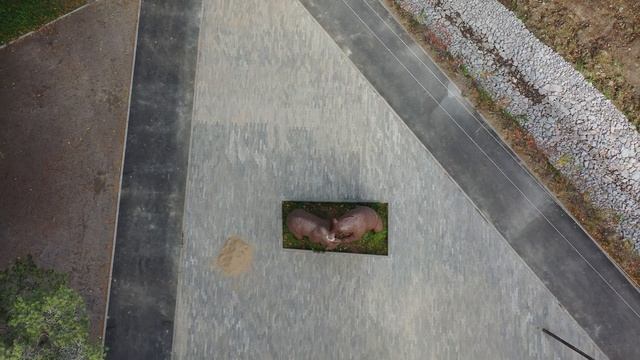 Парк Каменногорск