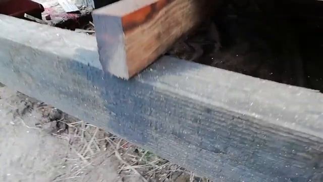 Машинное масло для обработки древесины смотреть онлайн