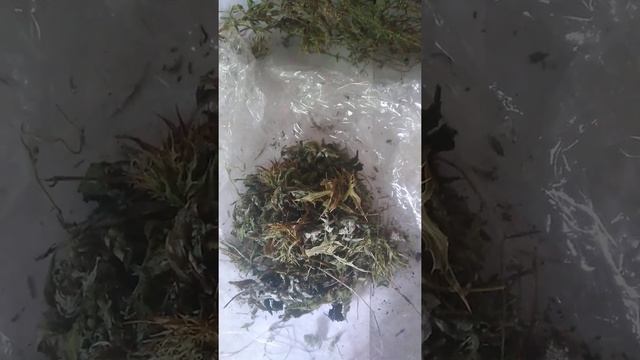мастер класс- свечи- ведьмина свеча