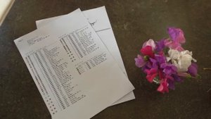 4. Обзор набора фирмы "Амишоп"-"ТРИО ТЮЛЬПАНОВ", организация  и начало процесса/ Вышивка крестиком/