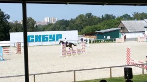 Соревнования по конкуру в кск пассаж. Нижний Новгород. 16.07.2016г.