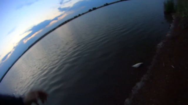 КАРАСЬ В ВАХИТОВО. РЫБАЛКА С НОЧЁВКОЙ.РЫБАЛКА НА ПЛАТНИКЕ. 17.07.22 смотреть онлайн