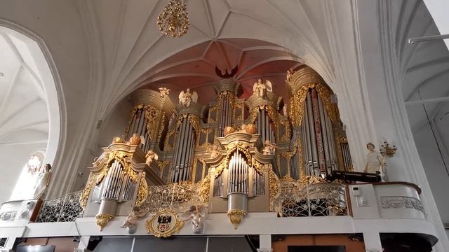 Орган Кафедрального собора в Калининграде смотреть онлайн