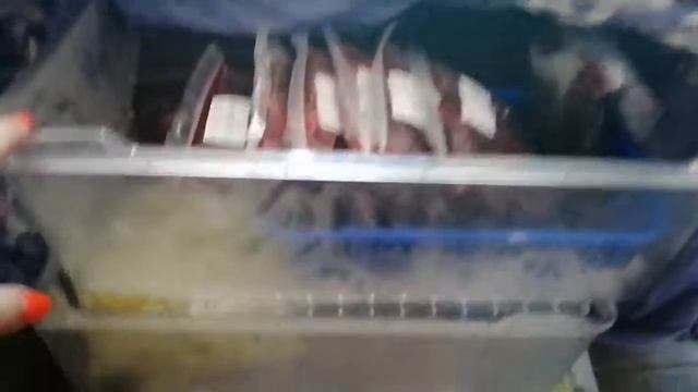 Быстрая разморозка морозильной камеры