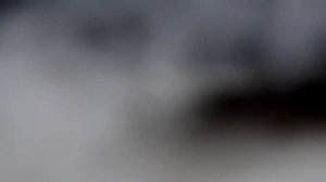 Выхлоп Вортекс Эстина (Vortex Estina)