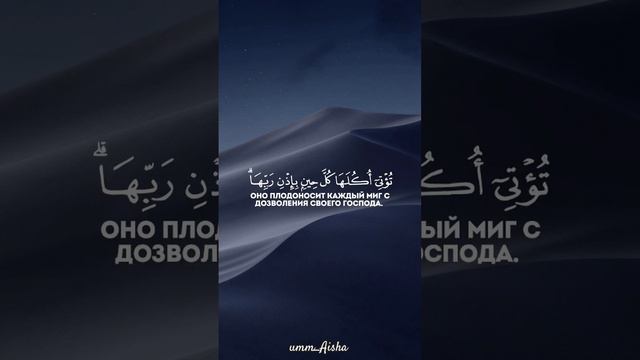 Прекрасное слово подобно прекрасному дереву #quran