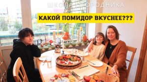 25 сортов томатов на вкус троих / Какой помидор самый вкусный?