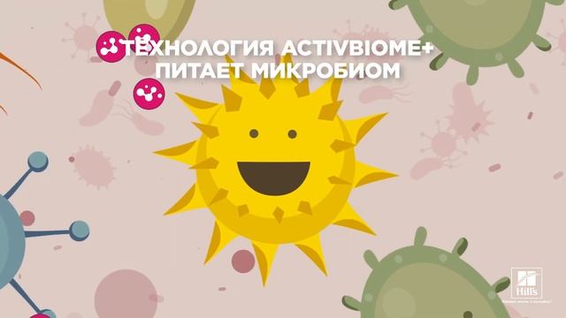Технология Hill's ActivBiome+ поможет пищеварению вашего питомца смотреть онлайн