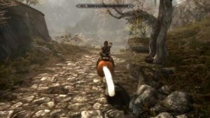 Skyrim SE Test/Prototype: Animated Horse Mane + Tail (HDT-SMP)