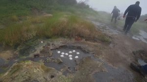 Камчатка. Дачные горячие источники. Медведь ⧸Kamchatka. Country hot springs. Bear